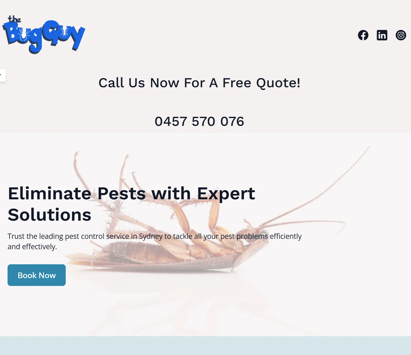 The Bug Guy's old website, a generic DIY Durable builder site